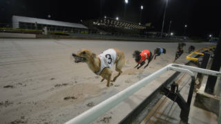 Golden Bear returns to ‘Thursday night lights’